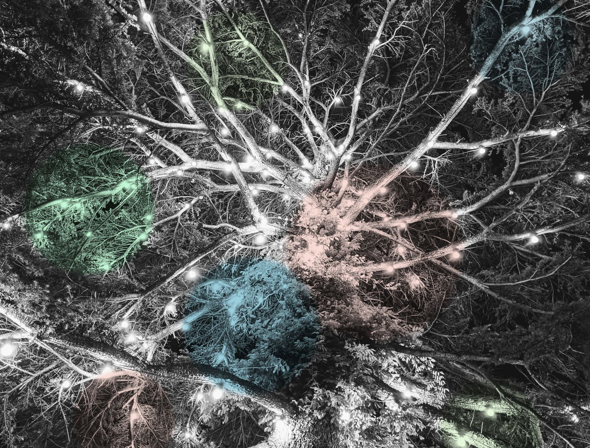 Image for Neuroplasticiteit: Verandering van binnenuit